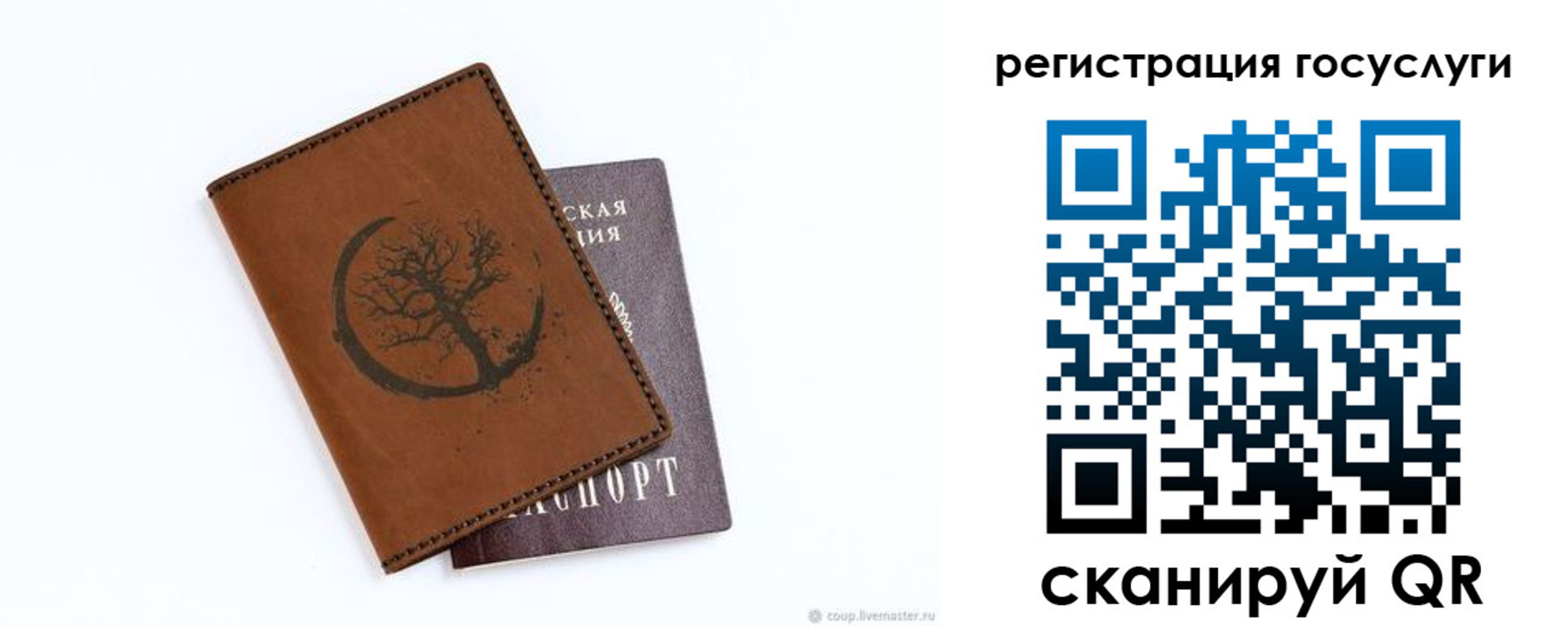 прописка для школы в Светлогорске