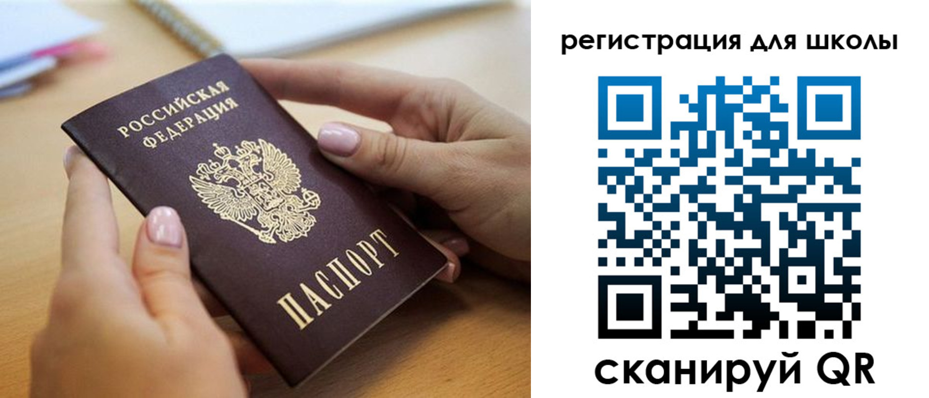 прописка в Светлогорске